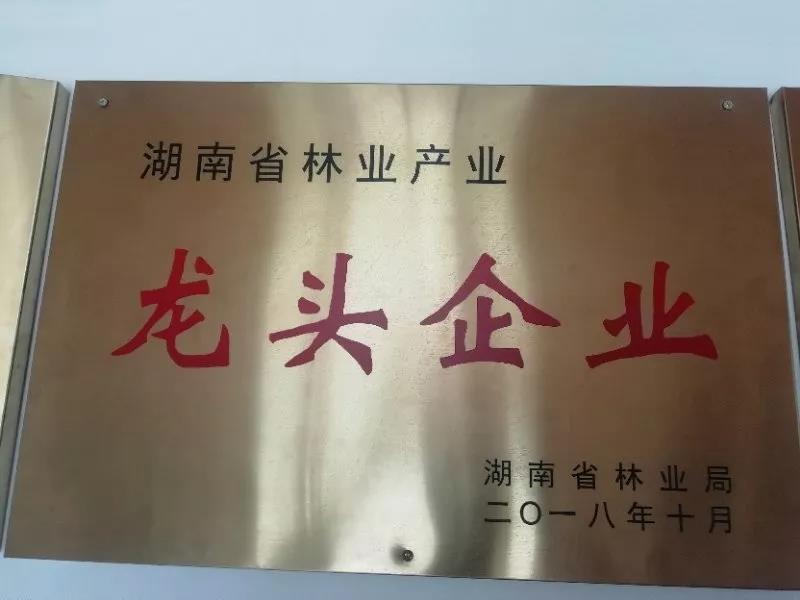 湖南旅游開發(fā)公司,懷化旅游開發(fā)公司,懷化峽谷探幽,懷化石林花山植物園